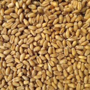 Niger Seeds Chutney Powder